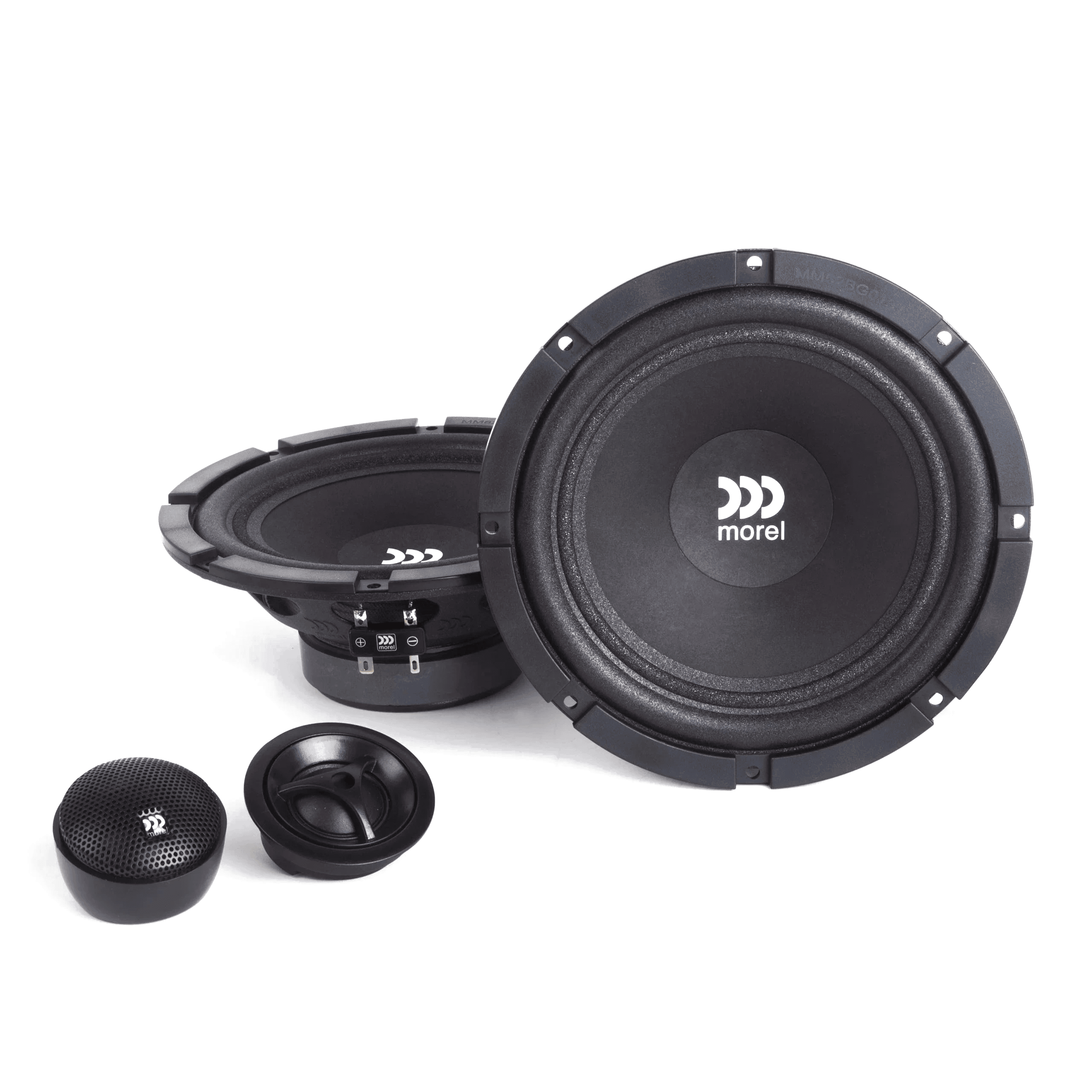 זוג קומפוננט - Morel Maximo 6 MkII – אוטו בר אשדוד